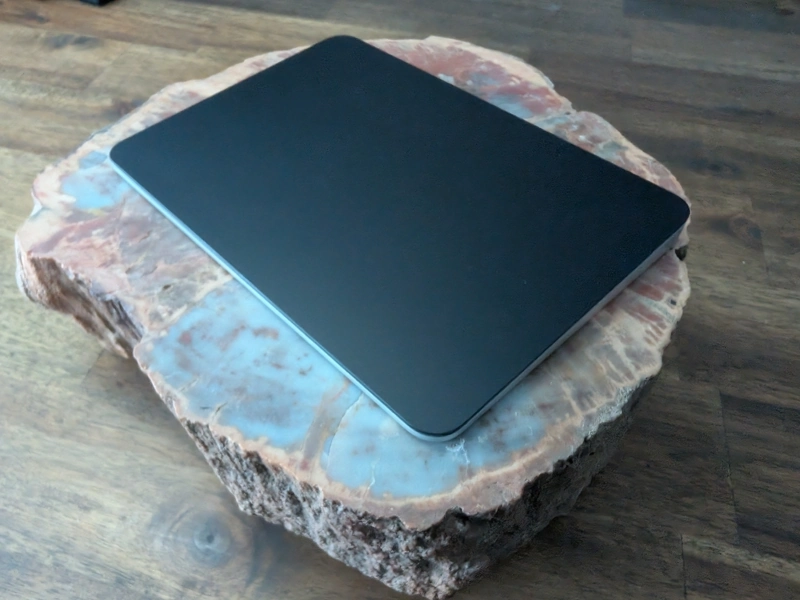 Modern design on a chunk of petrified tree