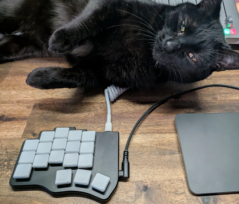 The Piantor Pro on my desk, cat included